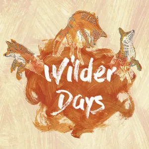 Pochette de Wilder Days de Tors