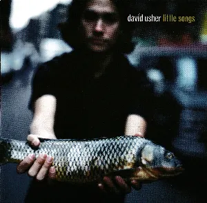 Pochette de Little Songs de David Usher