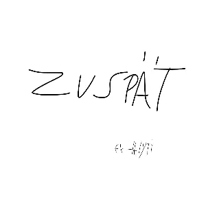 Pochette de Zu spät de Haiyti