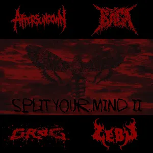 Pochette de Split Your Mind II de Aftersundown - Grog
