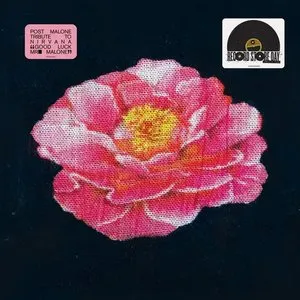 Pochette de Tribute to Nirvana de Post Malone