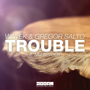 Pochette de Trouble de Gregor Salto