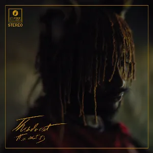 Pochette de It Is What It Is de Thundercat