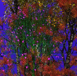 Pochette de From the Root of Jesse Proceeds a Splendid Flower de d’Eon