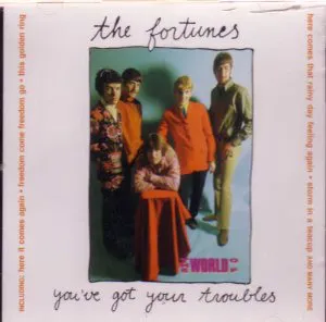 Pochette The World of The Fortunes