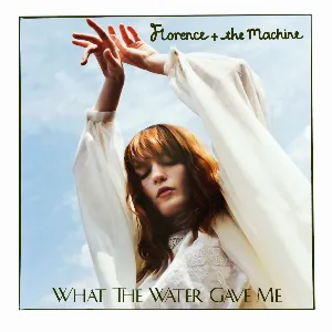 Pochette What the Water Gave Me
