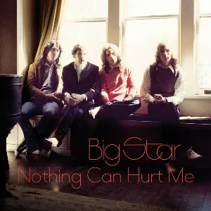 Pochette Nothing Can Hurt Me