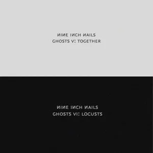 Pochette Ghosts V–VI