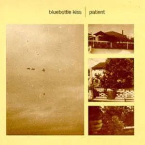 Pochette de Patient de Bluebottle Kiss