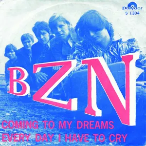 Pochette de Coming to My Dreams / Every Day I Have to Cry de BZN