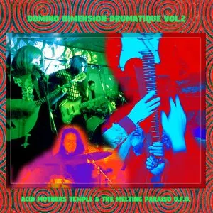 Pochette de Domino Dimension Drumatique Vol.2 de Acid Mothers Temple & The Melting Paraiso U.F.O.