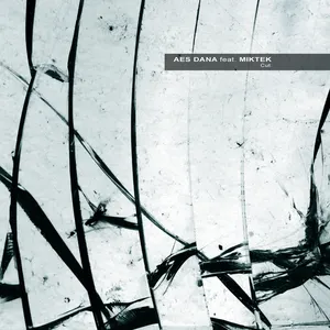 Pochette de Cut. de AES Dana
