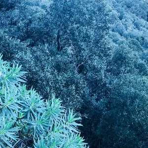 Pochette de MQF19 de Donato Dozzy