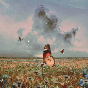Pochette de I Won’t Be Running de Nils Hoffmann