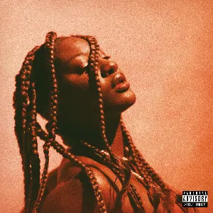 Pochette de If Orange Was a Place de Tems