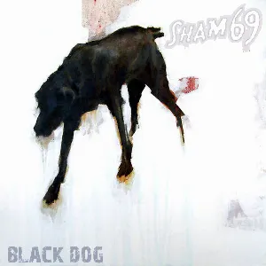 Pochette Black Dog