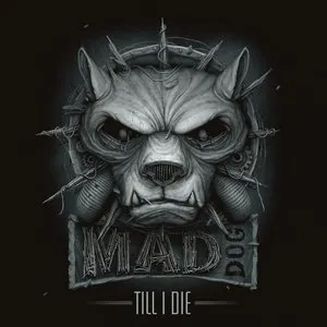 Pochette de Till I Die de DJ Mad Dog