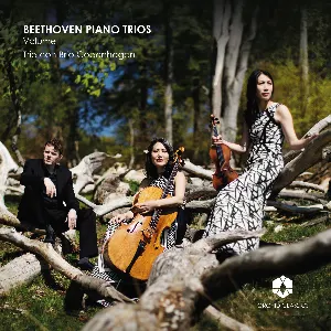 Pochette Piano Trios, Volume II