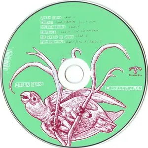 Pochette de Green Beans de Chad VanGaalen