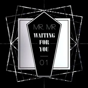 Pochette de WAITING FOR YOU de MR.MR