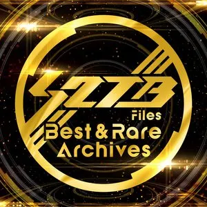Pochette de S2TB Files Best & Rare Archives de kors k