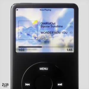 Pochette de WORDS FROM YOU de Bipolar Sunshine