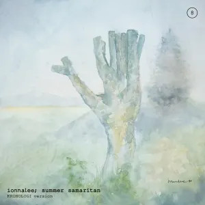 Pochette de summer samaritan de ionnalee