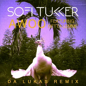 Pochette de Awoo (Da Lukas remix) de Sofi Tukker