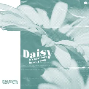 Pochette de daisy. de wave to earth