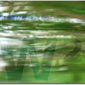 Pochette de W2 [1998-2008] de Éric La Casa