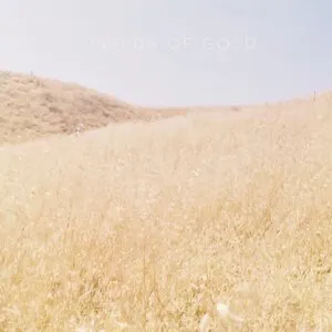 Pochette de Fields of Gold de Kina Grannis