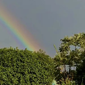 Pochette de Mein Moment der Stille EP de Ueda Takayasu