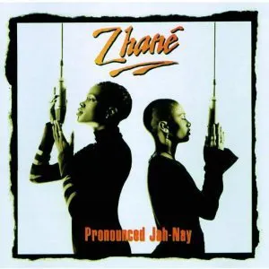 Pochette de Hey Mr. D.J. de Zhané