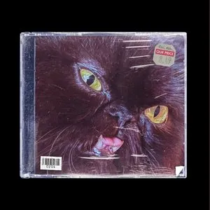 Pochette de Jail on Christmas de Evergreen Terrace