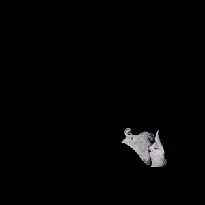 Pochette de Tearing Me Up (Slaptop remix) de Bob Moses