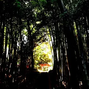 Pochette de J de Donato Dozzy