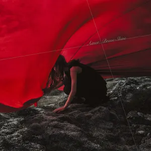 Pochette de Brave Shine de Aimer