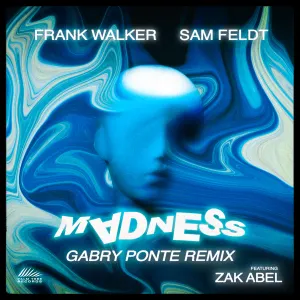 Pochette de Madness (Gabry Ponte remix) de Frank Walker