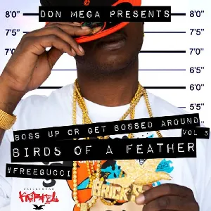 Pochette de Birds of a Feather de Gucci Mane