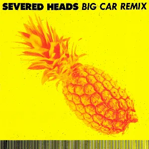 Pochette de Big Car Remix de Severed Heads