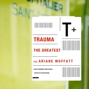 Pochette de The Greatest de Ariane Moffatt