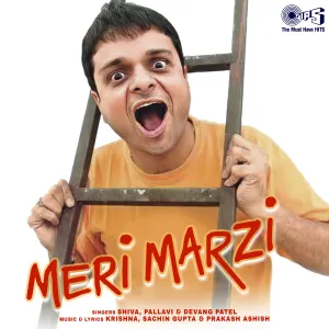 Pochette de Meri Marji de Devang Patel