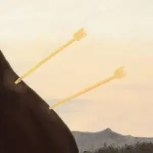 Pochette de Shivers de The Royston Club