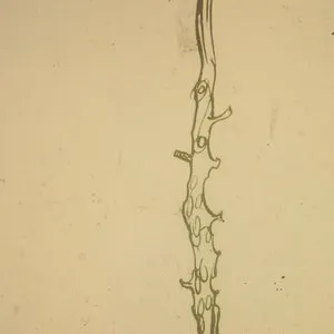 Pochette de Nothing Under a Microscope de Kevin Drumm