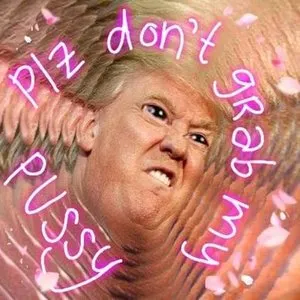 Pochette de Please Don't Grab My Pussy de Ashnikko