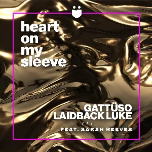 Pochette de Heart On My Sleeve de Laidback Luke