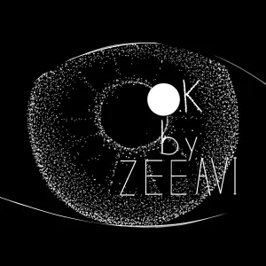 Pochette de OK de Zee Avi