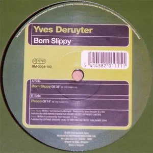 Pochette de Born Slippy de Yves Deruyter
