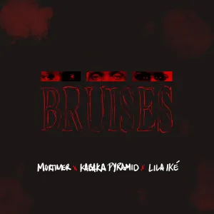 Pochette de Bruises de Kabaka Pyramid