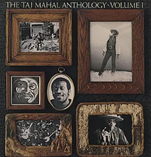 Pochette The Taj Mahal Anthology Volume 1